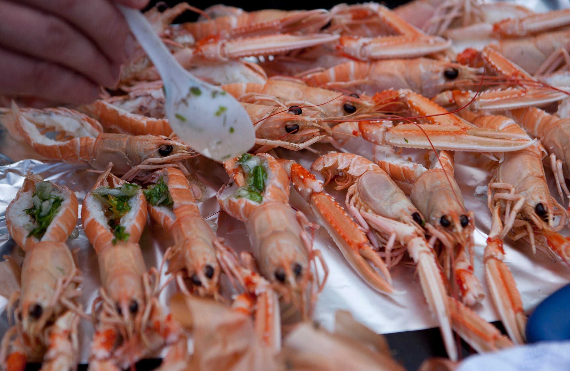 Nordic outdoor cooking