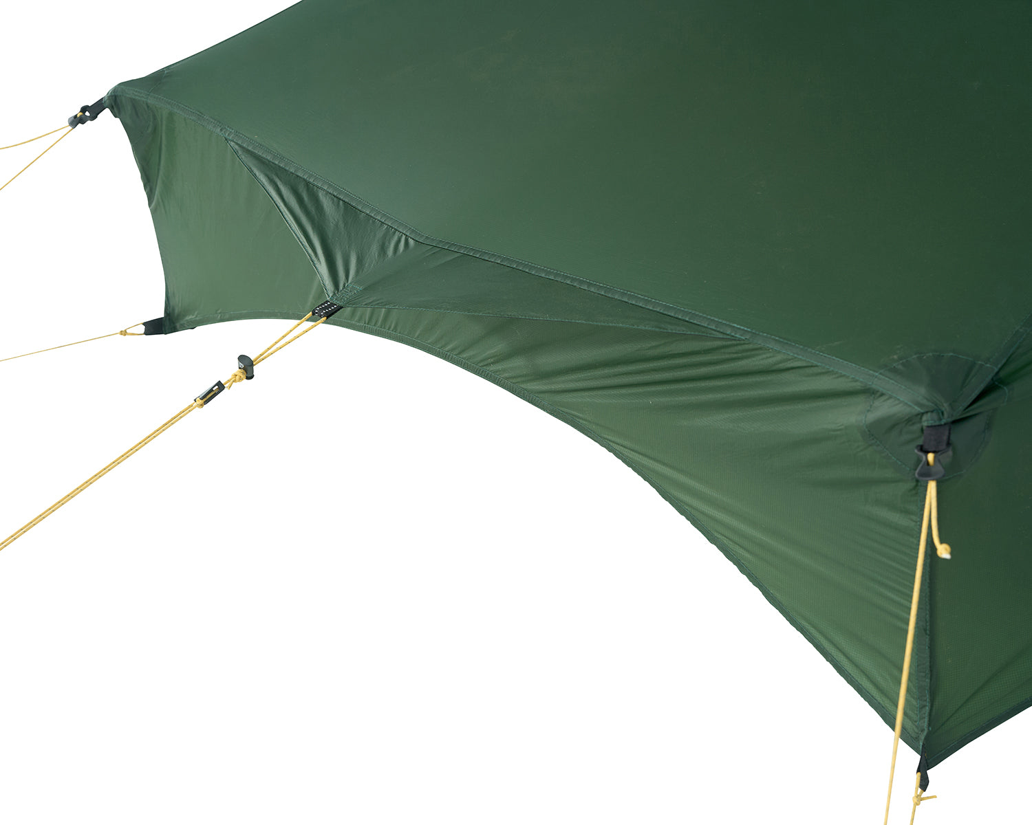 Telemark 2.2 LW (2.0) Tent - Black Forest Green