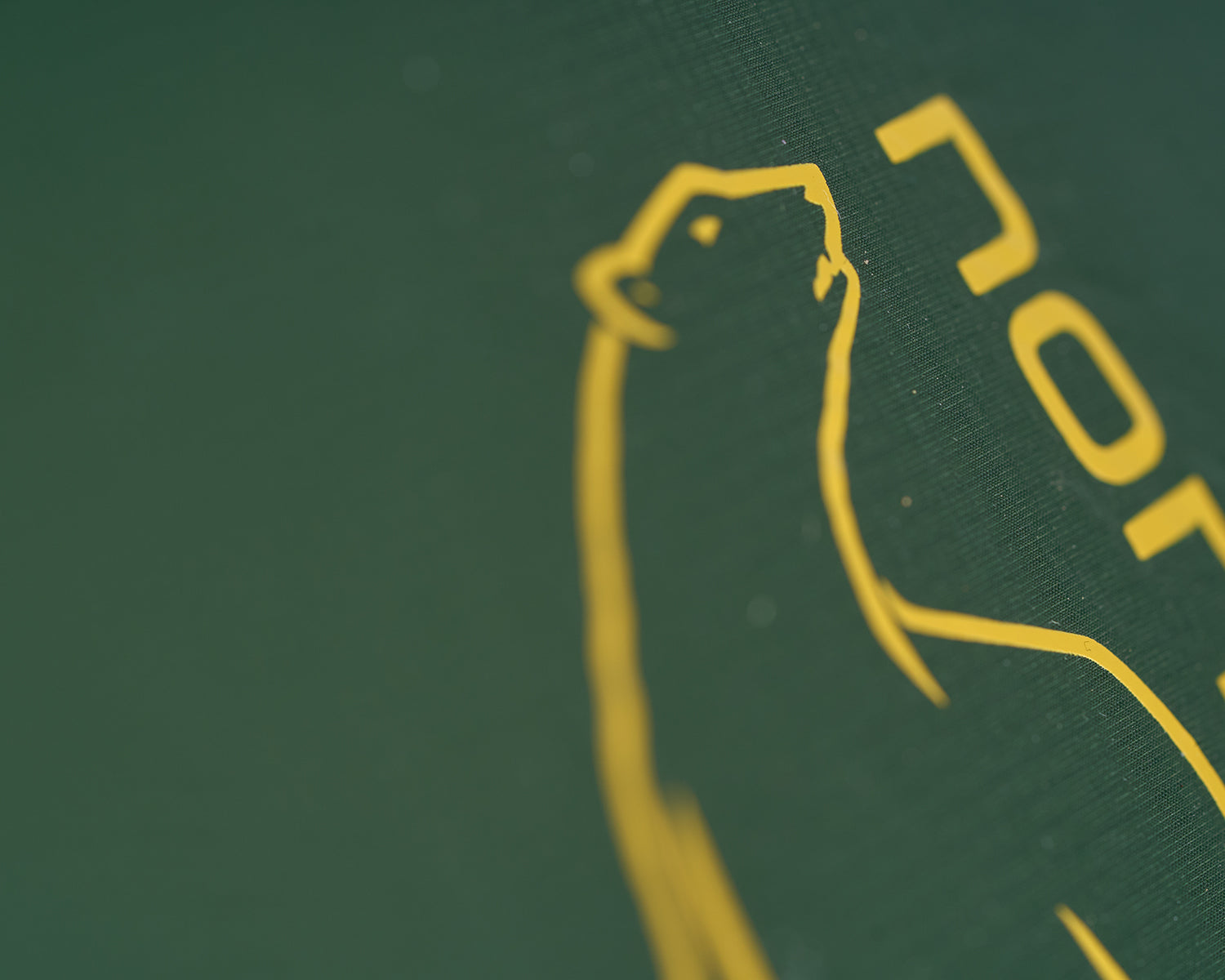 Telemark 2.2 LW (2.0) Tent - Black Forest Green