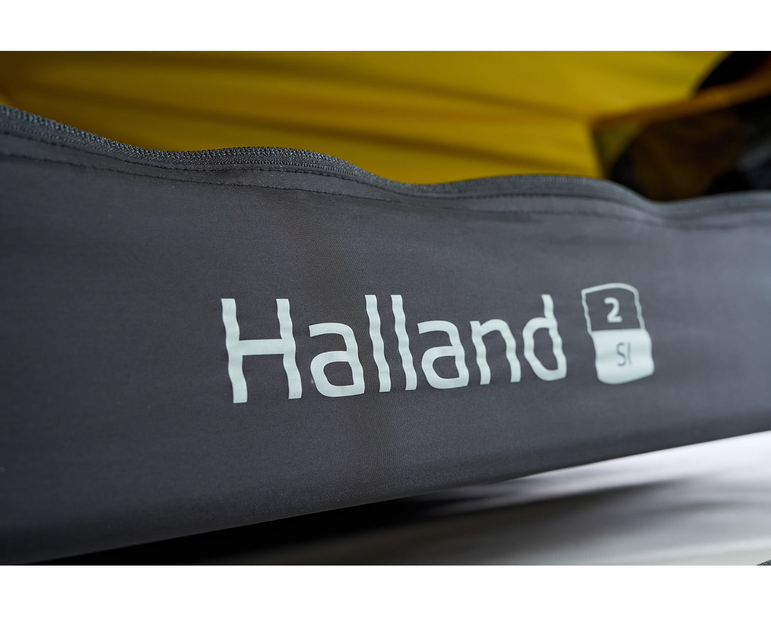 Halland 2 SI (2.0) Tent | Black Forest Green