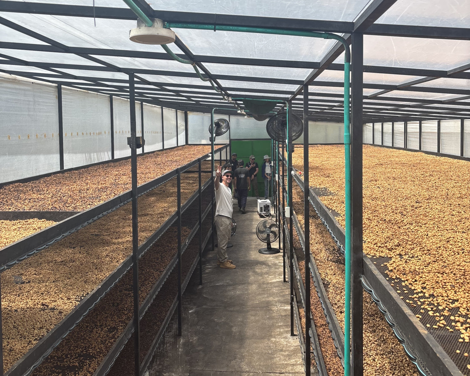 Nordisk x Prolog Dríp Coffee Box – El Paraiso