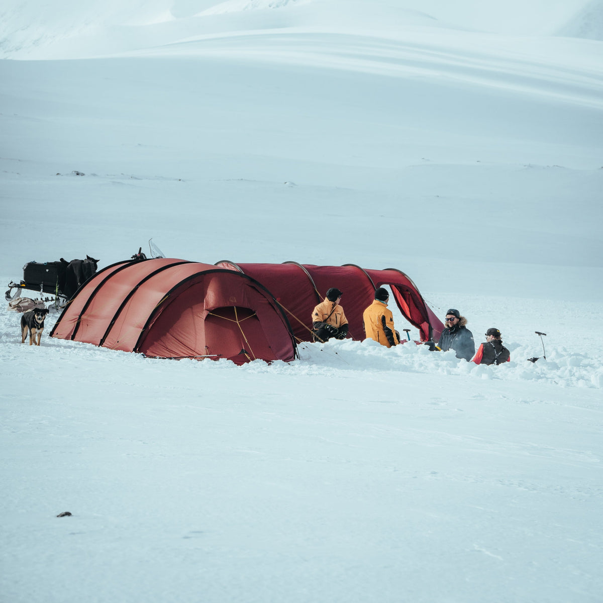 Scandinavian Outdoor Award für das Expeditionszelt Nordisk SIRIUS 4 EXP