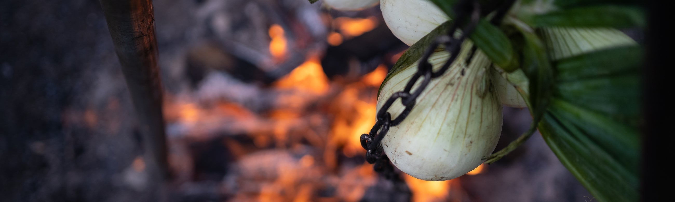 Kochen in der Natur