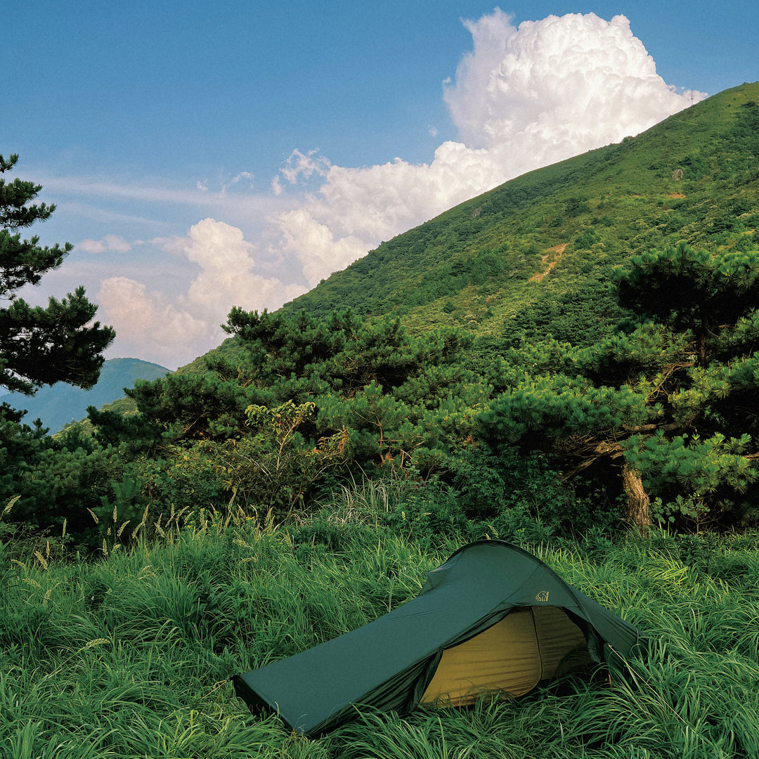 Telemark 2.2 LW (2.0) Zelt - Black Forest Green