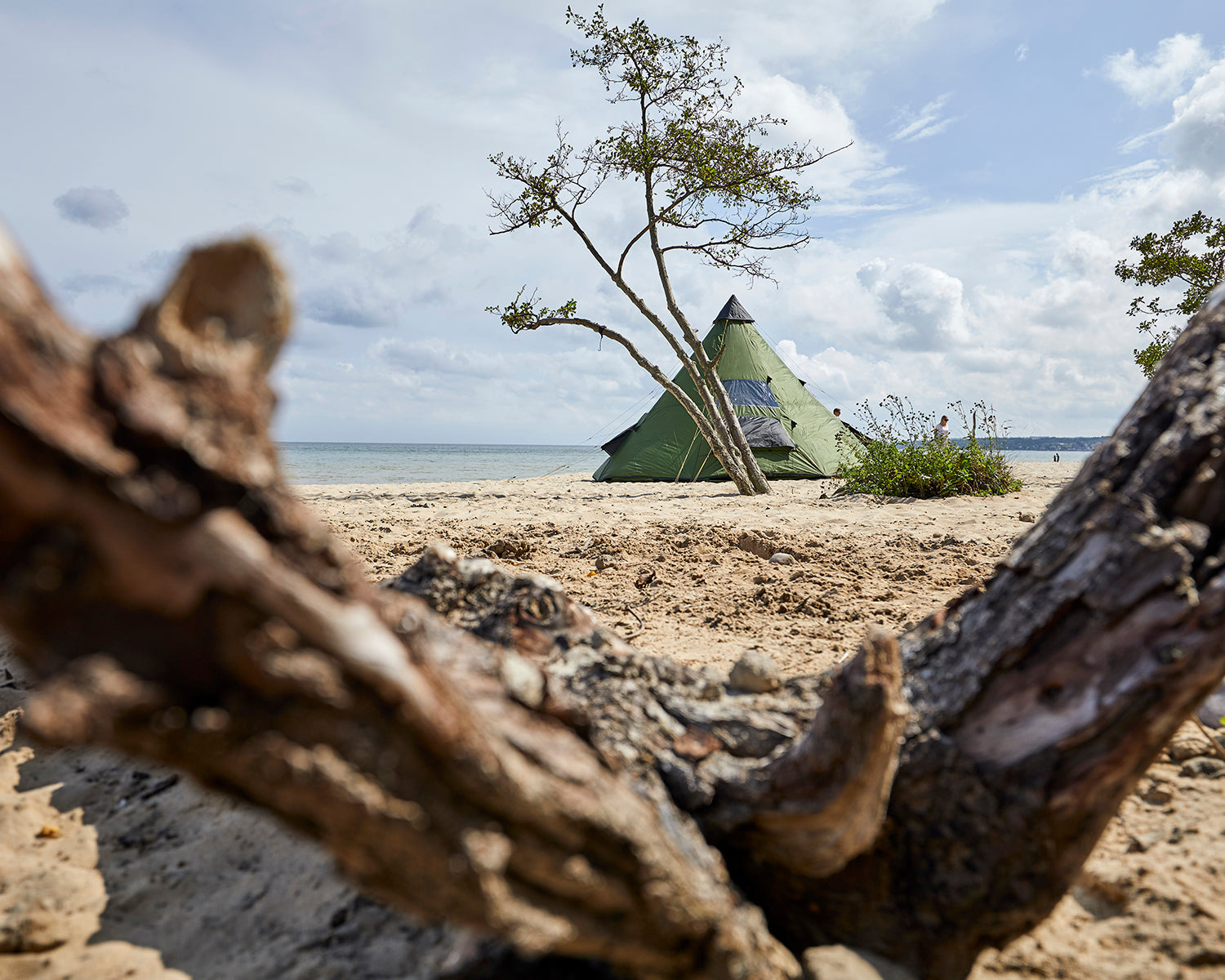 Black Falls 8 Zelt - Capulet Olive