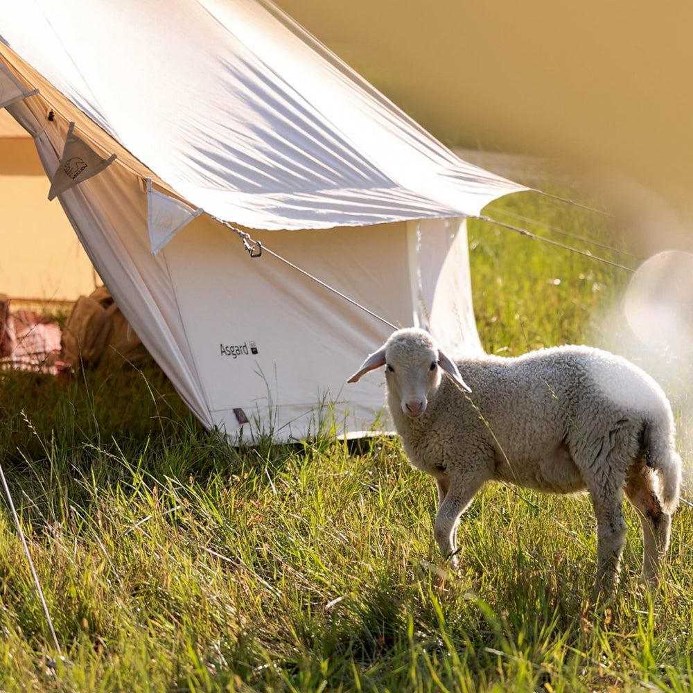 Asgard 19.6 M² Glamping-Zelt | Nordisk